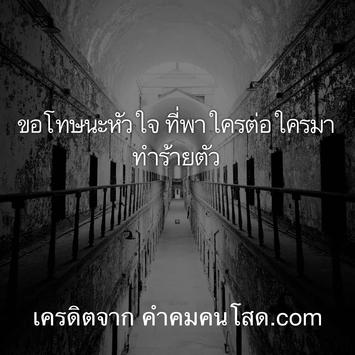 ใหม่ล่าสุด แคปชั่นความรู้สึก แคปชั่นโดนความหมายดีๆ เอาไว้อัพสเตตัสใน Ig  เข้ามาเลย
